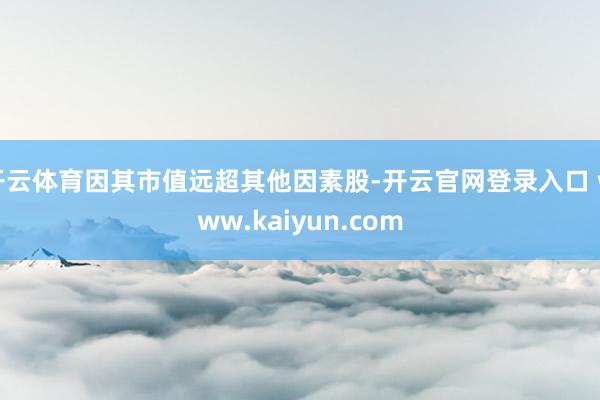 开云体育因其市值远超其他因素股-开云官网登录入口 www.kaiyun.com