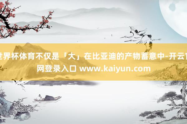 世界杯体育不仅是「大」在比亚迪的产物蓄意中-开云官网登录入口 www.kaiyun.com